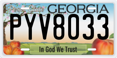 GA license plate PYV8033