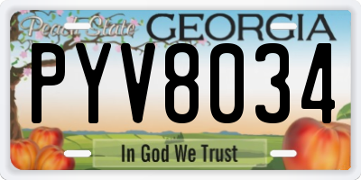 GA license plate PYV8034