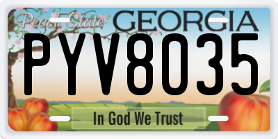 GA license plate PYV8035