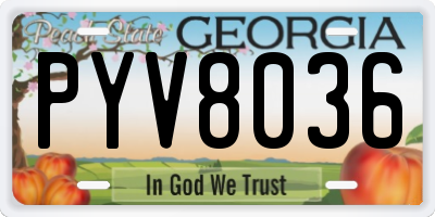 GA license plate PYV8036