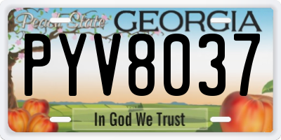 GA license plate PYV8037