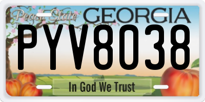 GA license plate PYV8038