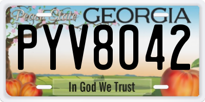 GA license plate PYV8042