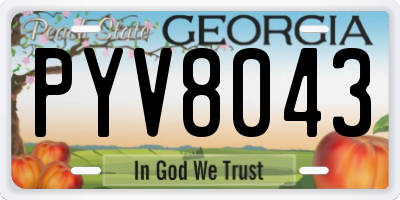 GA license plate PYV8043