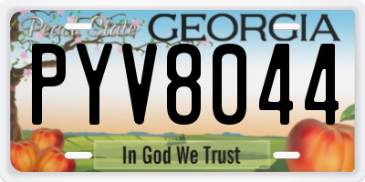 GA license plate PYV8044