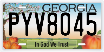 GA license plate PYV8045