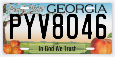 GA license plate PYV8046