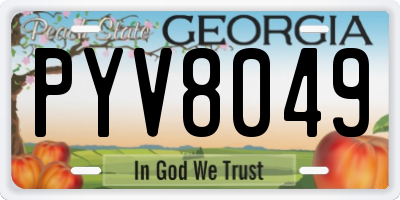 GA license plate PYV8049