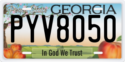 GA license plate PYV8050
