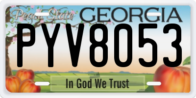 GA license plate PYV8053