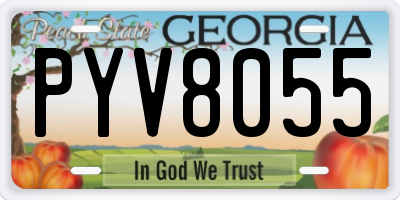 GA license plate PYV8055