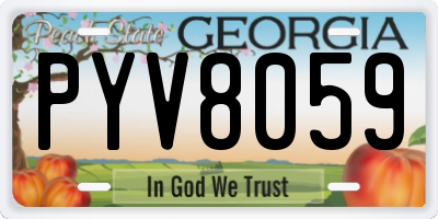 GA license plate PYV8059