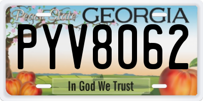 GA license plate PYV8062
