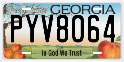 GA license plate PYV8064