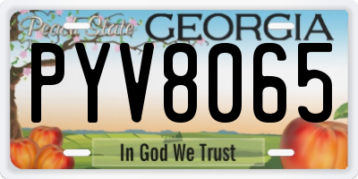 GA license plate PYV8065