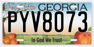 GA license plate PYV8073