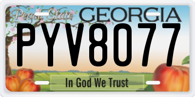 GA license plate PYV8077