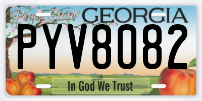 GA license plate PYV8082