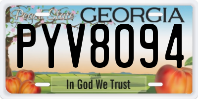 GA license plate PYV8094