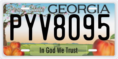 GA license plate PYV8095