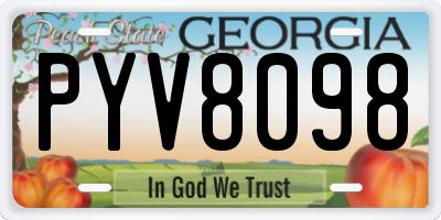 GA license plate PYV8098