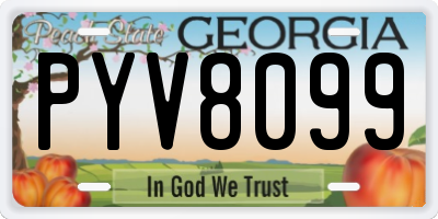 GA license plate PYV8099
