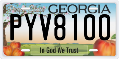 GA license plate PYV8100
