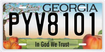 GA license plate PYV8101