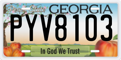 GA license plate PYV8103