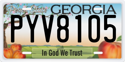 GA license plate PYV8105
