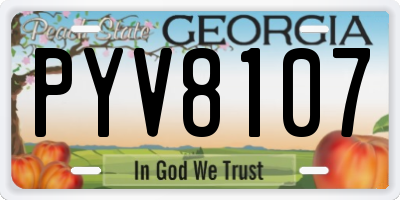 GA license plate PYV8107