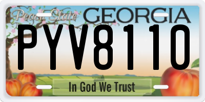 GA license plate PYV8110