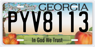 GA license plate PYV8113