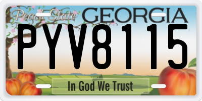 GA license plate PYV8115