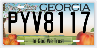 GA license plate PYV8117