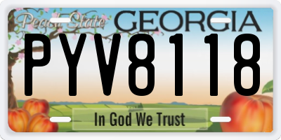 GA license plate PYV8118