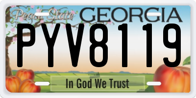 GA license plate PYV8119