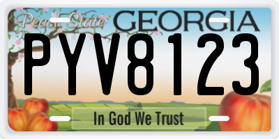 GA license plate PYV8123