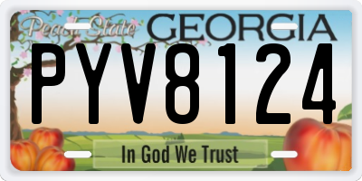 GA license plate PYV8124