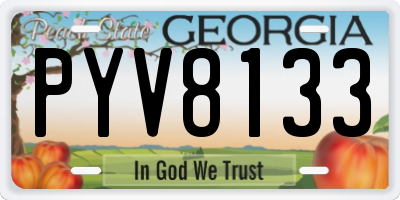 GA license plate PYV8133