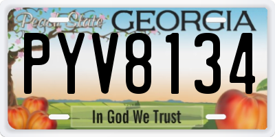 GA license plate PYV8134