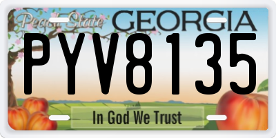 GA license plate PYV8135