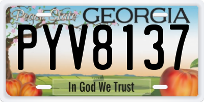 GA license plate PYV8137