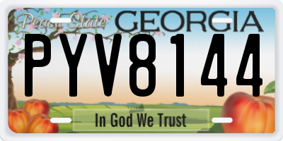 GA license plate PYV8144