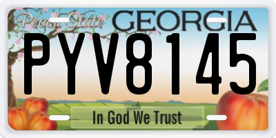 GA license plate PYV8145
