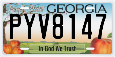 GA license plate PYV8147
