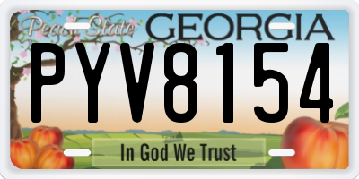 GA license plate PYV8154