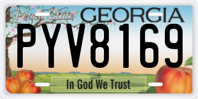 GA license plate PYV8169