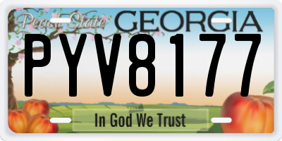 GA license plate PYV8177