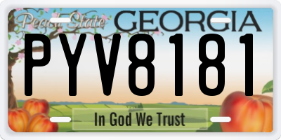 GA license plate PYV8181
